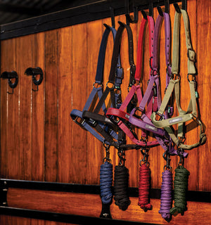 Ensemble Licol et Longe Amigo® Horseware