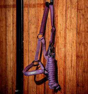 Ensemble Licol et Longe Amigo® Horseware