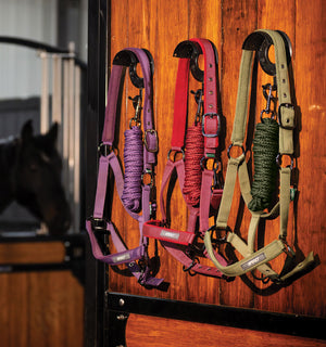 Ensemble Licol et Longe Amigo® Horseware