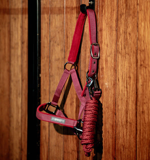 Ensemble Licol et Longe Amigo® Horseware