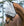Masque Anti-mouches Amigo® Horseware