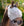 Masque Anti-mouches Amigo® Sans Oreilles Horseware