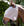 Masque Anti-mouches Amigo® Sans Oreilles Horseware