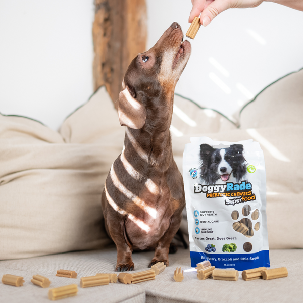 Chew Treats for Dogs with Prebiotic Superfoods - Doggyrade