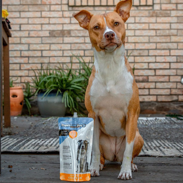 Advanced Intestinal Support Drink for Dogs - Doggyrade