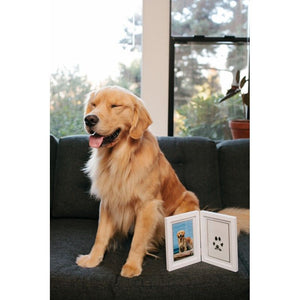 Double cadre photo & empreinte de patte encre