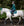 Tapis de Selle Mixte Horseware® Close Contact