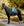 Tapis de Dressage Horseware®