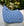 Tapis de Dressage Performance Alessandro Albanese®