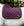 Tapis de Dressage Performance Alessandro Albanese®