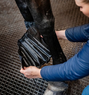 Packs de Froid Ice-Vibe® Horseware pour Guêtres