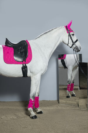 Bonnet Crystal – Eskadron Dynamic 2026 — en situation
