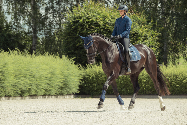 Un cavalier portant un casque monte un cheval noir sur une piste d'équitation, entourée de verdure. Le cheval porte un bonnet de protection et des protections pour ses jambes de couleur assortie à la selle. Le cavalier est habillé en tenue d'équitation, avec une veste matelassée bleu foncé.