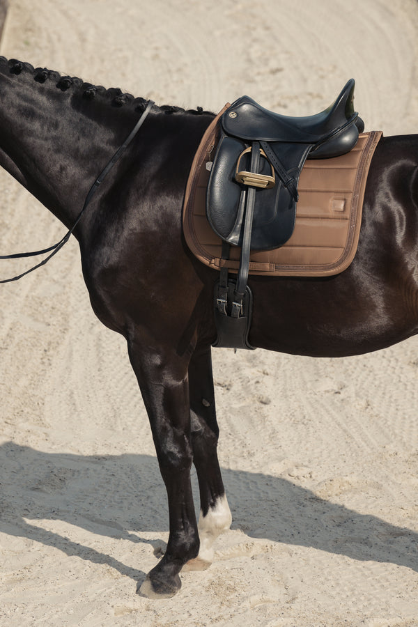 Cheval noir portant une selle en cuir noir et un tapis de selle marron, photographié de côté, sur un terrain de sable. La crinière du cheval est tressée et son sabot avant droit est partiellement blanc.