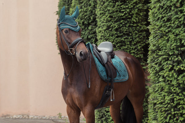 Cheval brun équipé d'un harnachement et d'une selle, portant un bonnet d'oreilles et un tapis de selle bleu turquoise. Le cheval est positionné entre deux grands buissons verts taillés, avec un mur beige en arrière-plan.