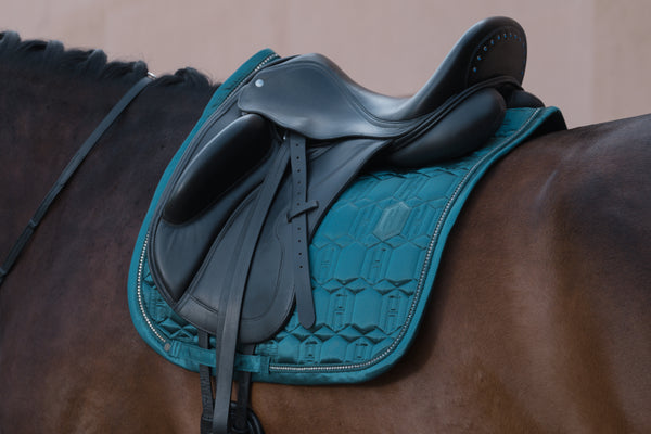 Cheval portant une selle noire classique avec une housse de selle bleu-vert à motifs géométriques.