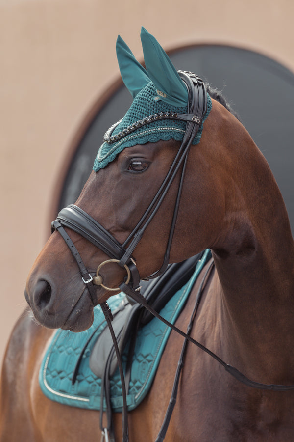 Cheval de profil portant un équipement de dressage turquoise, comprenant un bonnet anti-mouches à oreilles, une bride noire et une selle assortie.