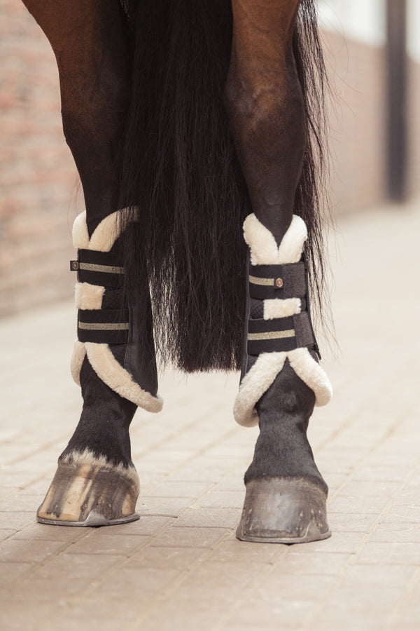 Un cheval vu de dos, portant des protections pour les jambes avec des rembourrages en laine douce attachés avec des sangles noires sur ses membres postérieurs. Sa queue est longue et noire, et il se tient sur un sol en pavés.