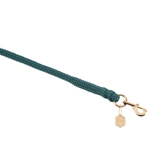 Alt : "Laisse en corde tressée verte avec un mousqueton doré et un pendentif hexagonal en métal doré."