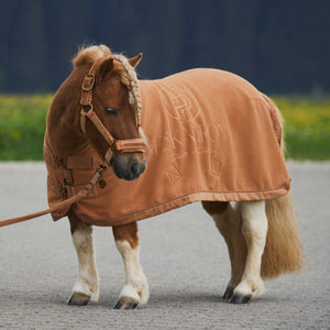 Chemise Polaire Shetty Stamp Eskadron Platinum 23 coloris Cognac portée par un shetland | Sellerie Bucéphale