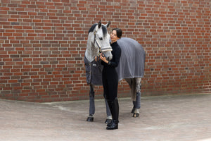 Bandes de polo Eskadron Basics en situation