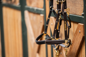 Leather halter ELEGANCE Eskadron CORE