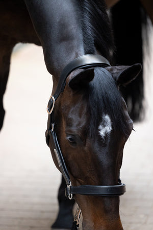 Licol din piele STALLION Eskadron CORE