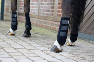 Guêtres Eskadron Pro Dressage en situation