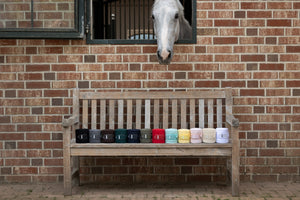 Bandes de polo Eskadron Basics en situation