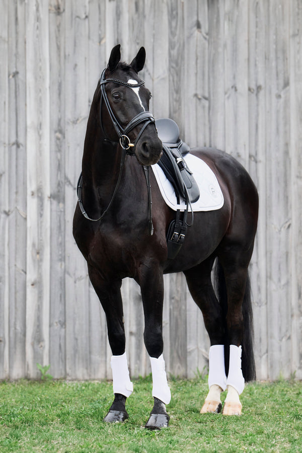 Guêtres PRO DRESSAGE Eskadron Platinum