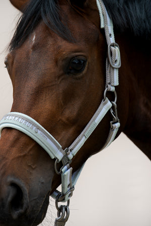 Eskadron – Licol Double pin Eskadron Classic SS24 Navy-white-velvet taupe Cob  | Sellerie Bucéphale
