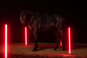 Eskadron Dynamic 25 SPARKLE CRYSTAL zadelonderlegger