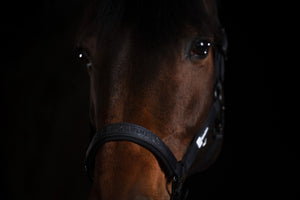 Licol Sparkle Eskadron Dynamic 25