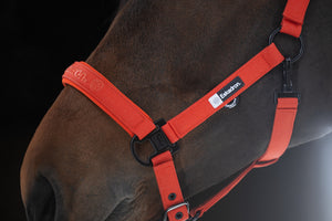 Licol Sparkle Eskadron Dynamic 25