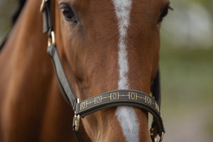 Licol Sparkle Double Pin – Eskadron Heritage 2026/27
