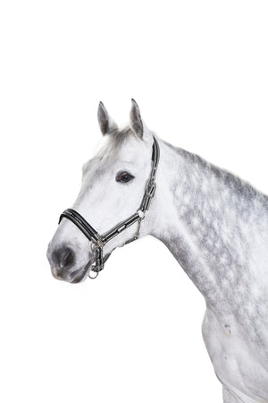 Eskadron – Licol Pin Buckle Classic Sport Eskadron Noir Pur-Sang (Cob)  | Sellerie Bucéphale