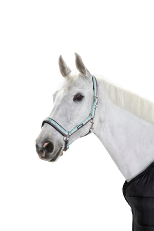 Eskadron – Licol Pin Buckle Classic Sport Eskadron anthra-white-black Pur-Sang (Cob)  | Sellerie Bucéphale