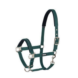 Eskadron – Licol Pin Buckle Classic Sport Eskadron Noir Shetland  | Sellerie Bucéphale