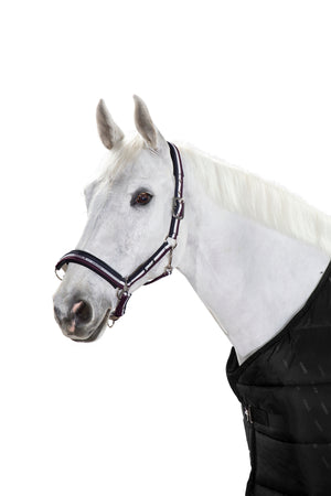 Eskadron – Licol Pin Buckle Classic Sport Eskadron anthra-white-black Poney  | Sellerie Bucéphale