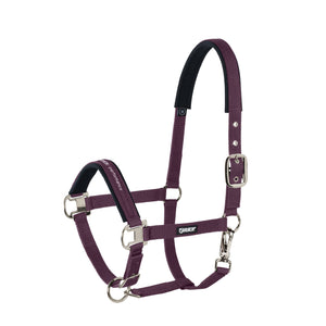 Eskadron – Licol Pin Buckle Basics Eskadron Noir Cheval  | Sellerie Bucéphale