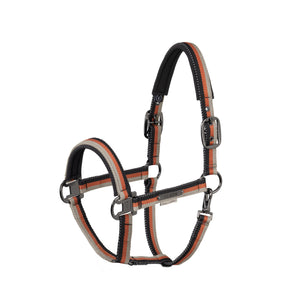 Licol LIGHTWEIGHT DOUBLE PIN