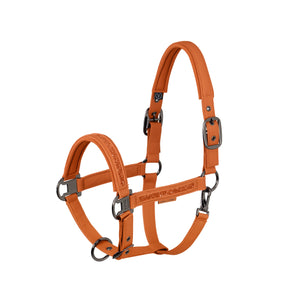 Licol FAUX LEATHER JEWEL DOUBLE PIN