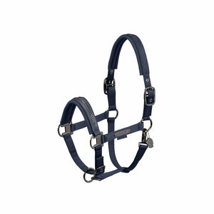 Halster DOUBLE PIN GLOSSY CRYSTAL Eskadron Platinum 24