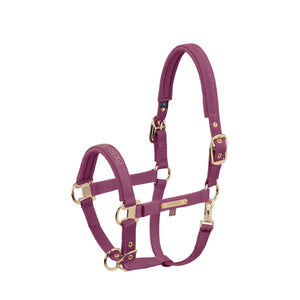 L'image montre un licol de cheval de couleur bordeaux. Ce licol est fabriqué à partir d'un matériau synthétique tissé, ce qui lui donne un aspect à la fois robuste et élégant. Il est doté de plusieurs éléments en laiton doré, notamment des boucles et des attaches, qui ajoutent une touche sophistiquée au design global. Voici une description plus détaillée des composants du licol : 1. **Partie supérieure (Tête de licol)** : La partie supérieure est rembourrée pour assurer le confort du...