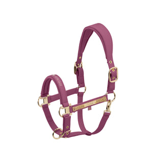 L'image représente un licol de cheval de couleur bordeaux, richement conçu avec des détails élégants. Le licol est principalement composé de matériau synthétique ou de cuir avec une finition lisse. Il est équipé de plusieurs pièces de quincaillerie dorées, notamment des boucles et des anneaux, qui ajoutent une touche de sophistication et de robustesse à l'accessoire. Les aspects notables du licol incluent : - Une pièce de front décorative avec un motif en relief doré, probablement en cuir ou...