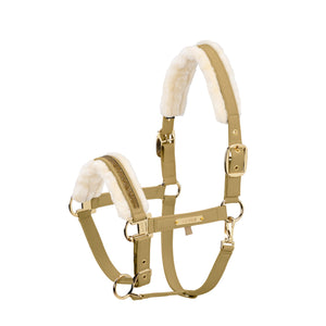 L'image montre une bride de cheval, également appelée licol, d'un design élégant et sophistiqué. La bride est principalement de couleur vert olive clair, avec des accents dorés qui ajoutent une touche de luxe. Les sangles de la bride sont en cuir vert olive et sont ornées de boucles et de rivets dorés. Ces éléments dorés sont visibles sur les points de jonction et les boucles, conférant à l'ensemble un aspect raffiné et cohérent. La partie supérieure du licol, appelée têtière, est dotée...