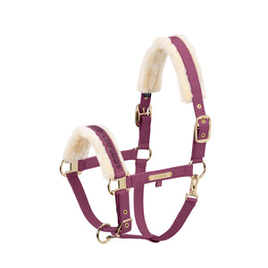 L'image montre un licol pour cheval de couleur bordeaux avec des accessoires élégants et décoratifs. Voici une description détaillée : 1. **Couleur et Matériau** : Le licol est principalement de couleur bordeaux. Il semble être fabriqué en cuir synthétique ou en matériau similaire, offrant une apparence robuste et élégante. 2. **Bourrelets et Rembourrage** : - Le licol est équipé de bourrelets en fourrure blanche, offrant un confort supplémentaire pour le cheval tout en ajoutant une...