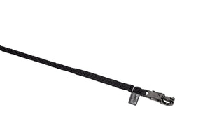Longe REGULAR panic hook