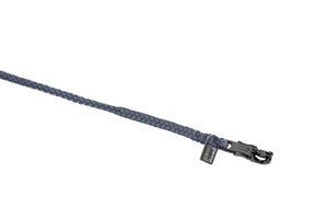 Longe REGULAR panic hook