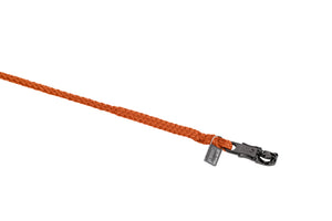 Longe REGULAR panic hook